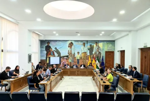 Pleno Ordinario del Ayuntamiento del Rincón de la Victoria