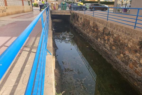 Lo pajaritos antes 1