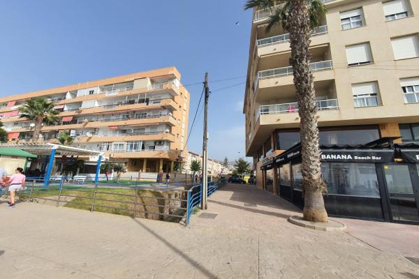 Lo pajaritos antes 4