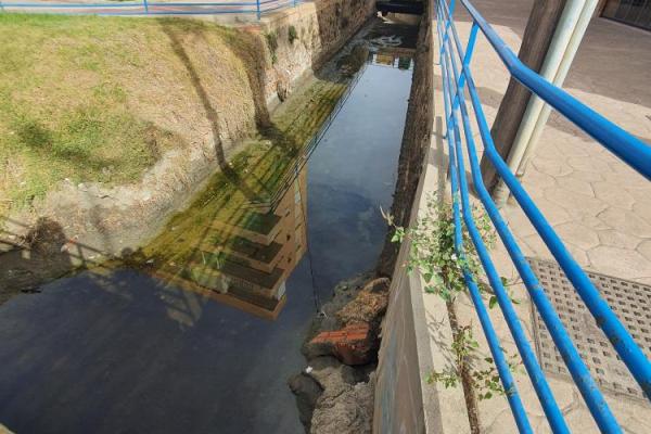 Lo pajaritos antes 5