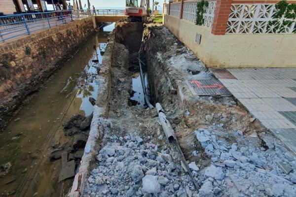 Los pajaritos obras 1