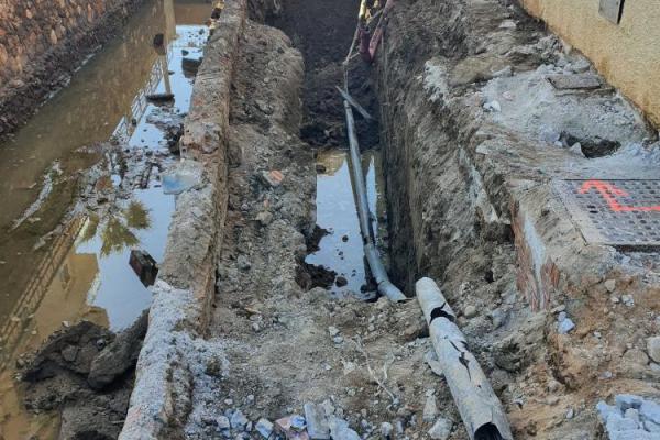 Los pajaritos obras 2