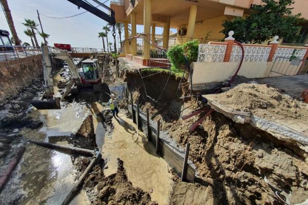 Los pajaritos obras 3