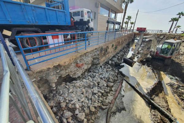 Los pajaritos obras 4