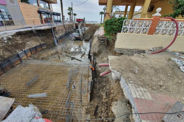 Los pajaritos obras 6