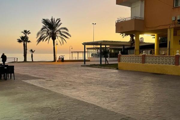 resultado final los pajaritos 1