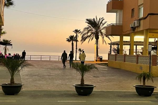 resultado final los pajaritos 2