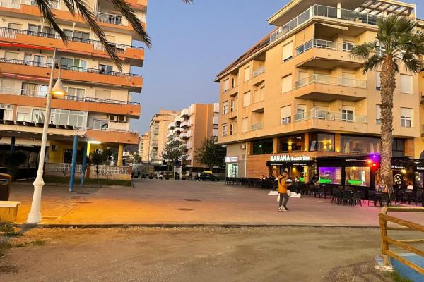 resultado final los pajaritos 4