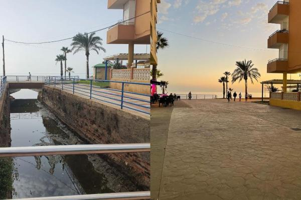 antes después los pajaritos