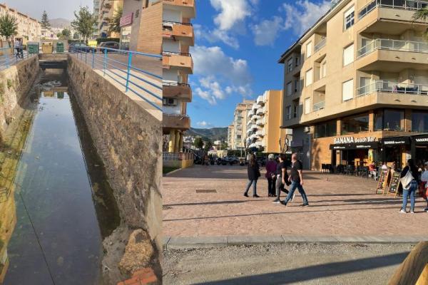 antes después los pajaritos 2