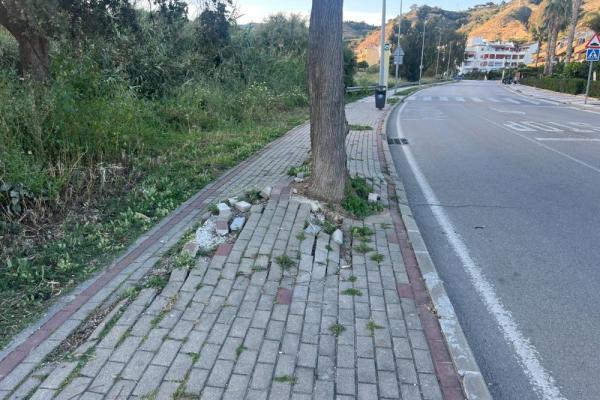 Acera con problemas de levantamiento.